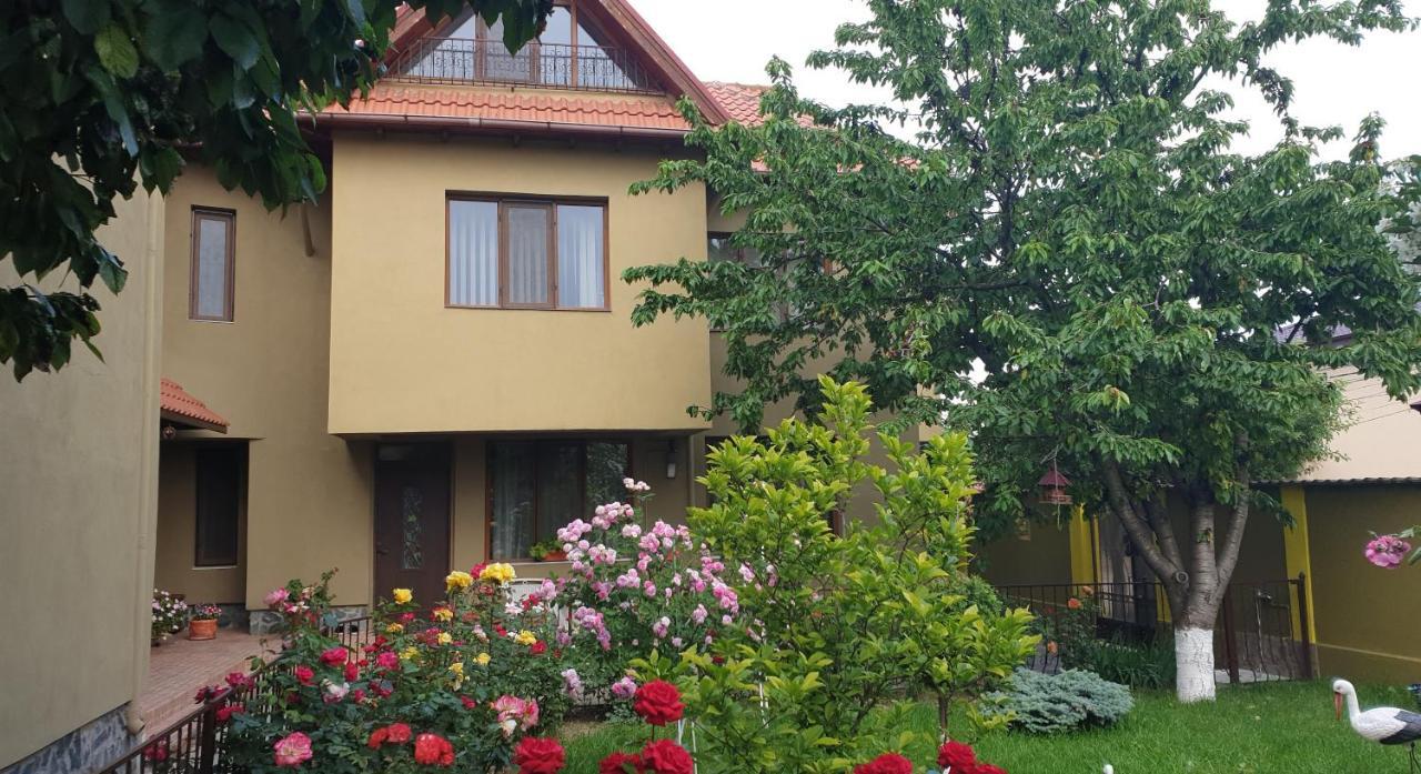 Villa Mugur ドウア・マ エクステリア 写真